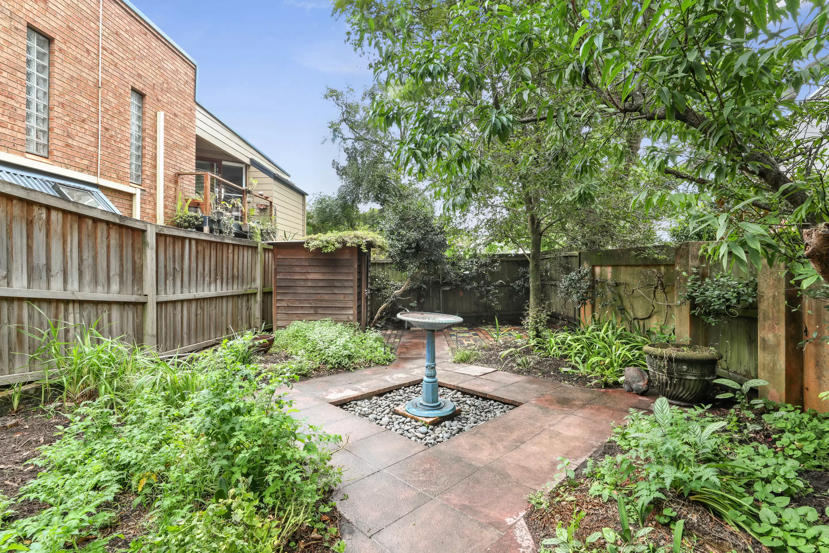 120 Beattie Street, Balmain Leased by Coopers Agency - image 11