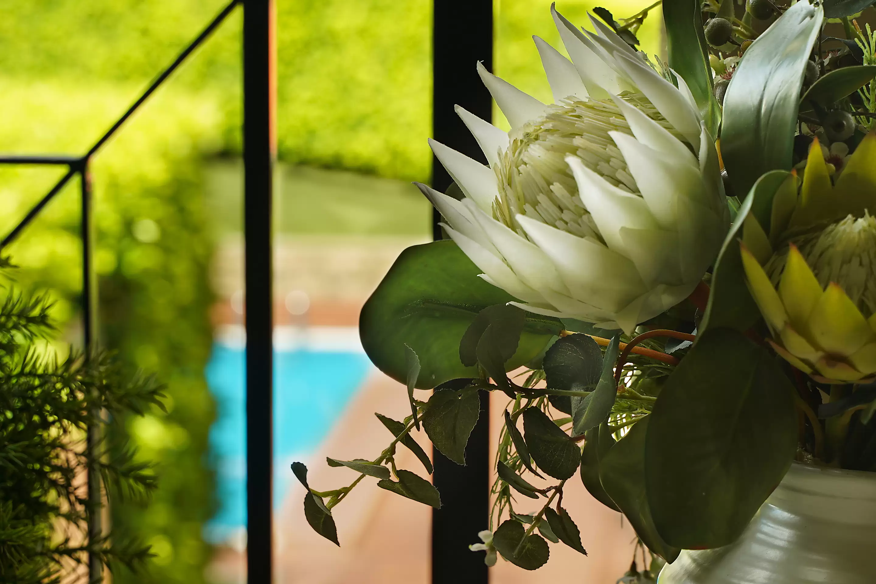 B7/1 Buchanan Street, Balmain Sold by Coopers Agency - image 3