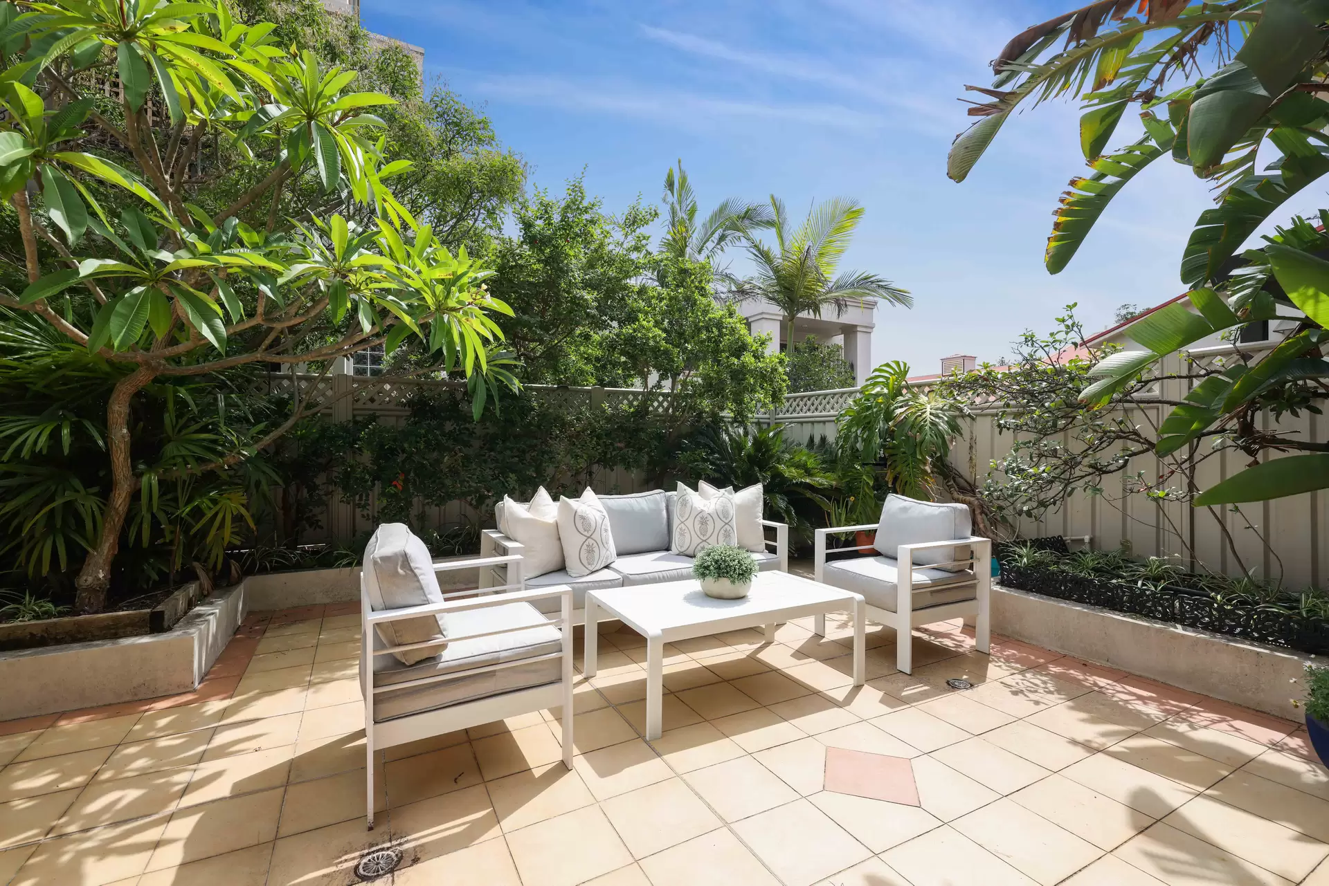 81 Palmer Street, Balmain Leased by Coopers Agency - image 1