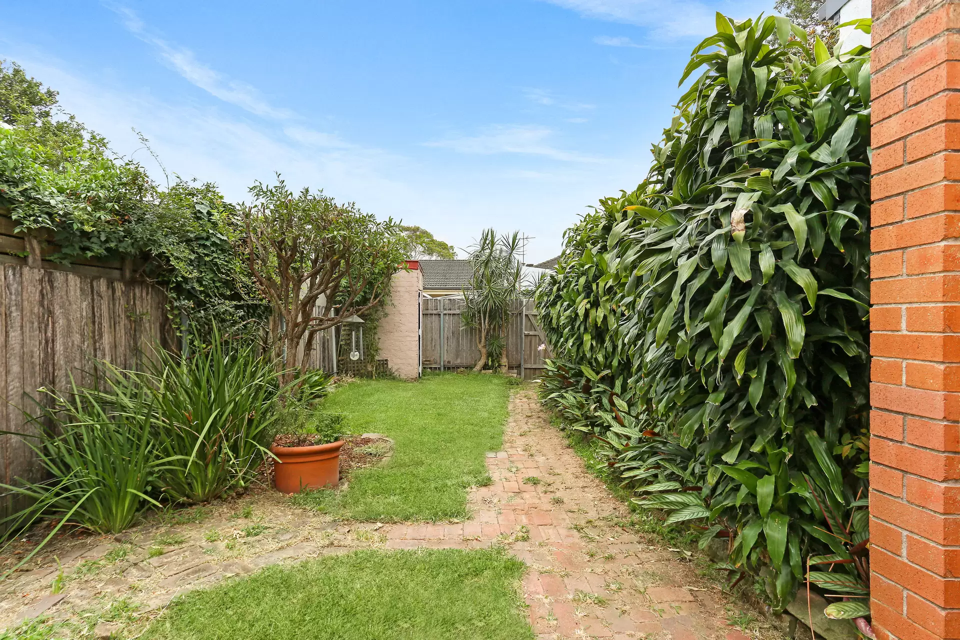 51 The Boulevarde, Lilyfield Sold by Coopers Agency - image 1