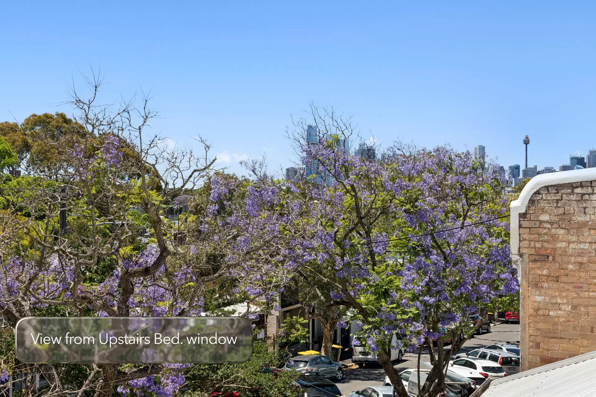 24 Nelson Street, Rozelle Leased by Coopers Agency - image 1
