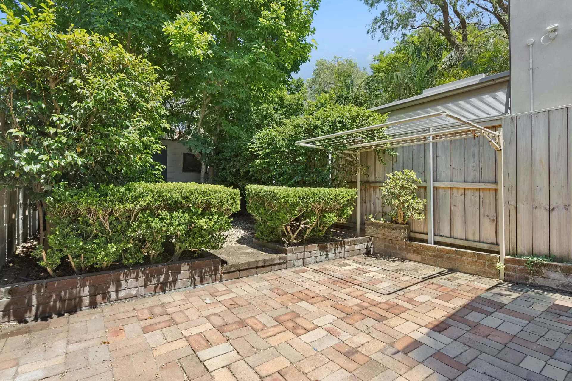 24 Nelson Street, Rozelle Leased by Coopers Agency - image 1