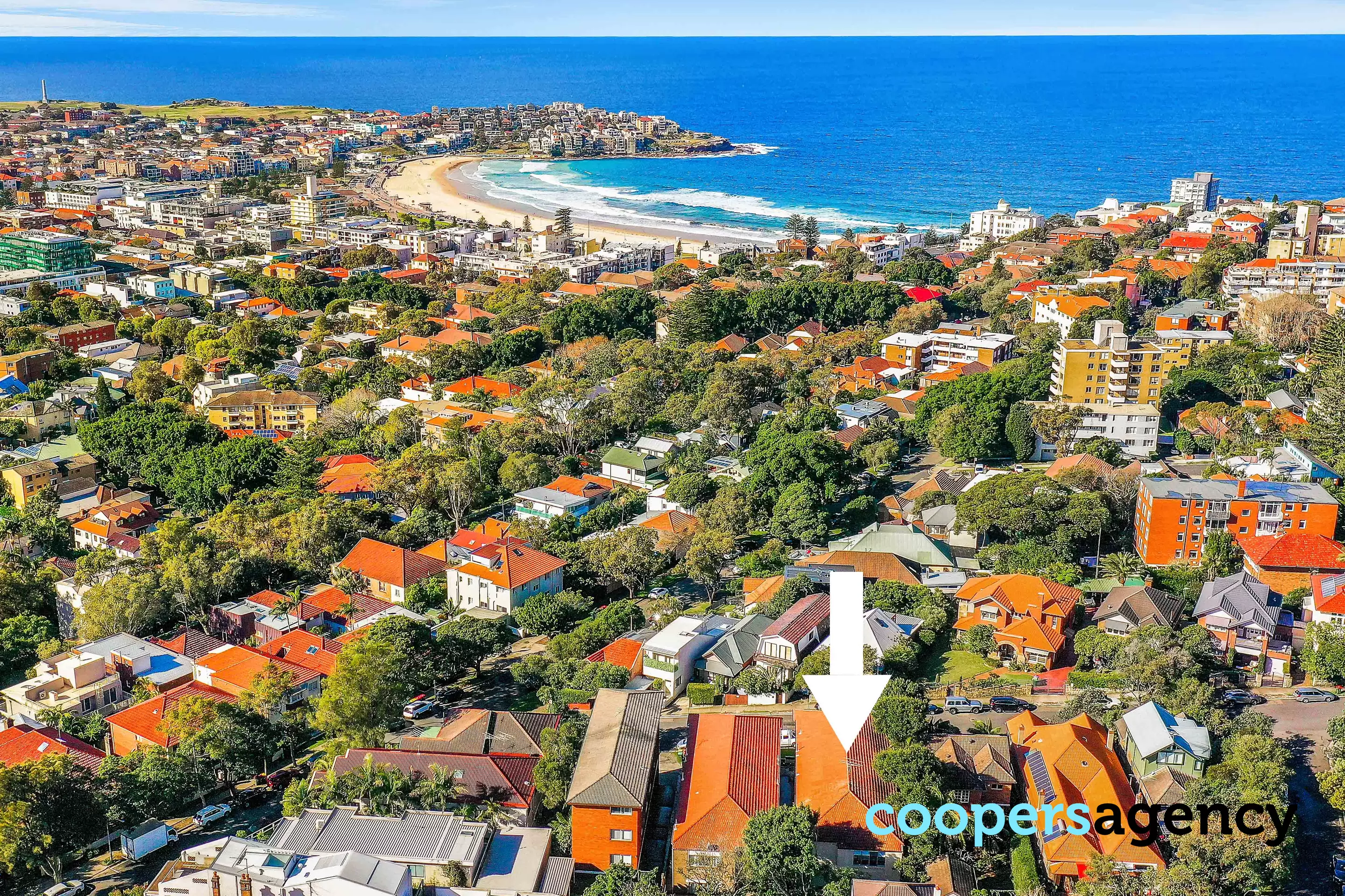 1/5 Imperial Avenue, Bondi Leased by Coopers Agency - image 11