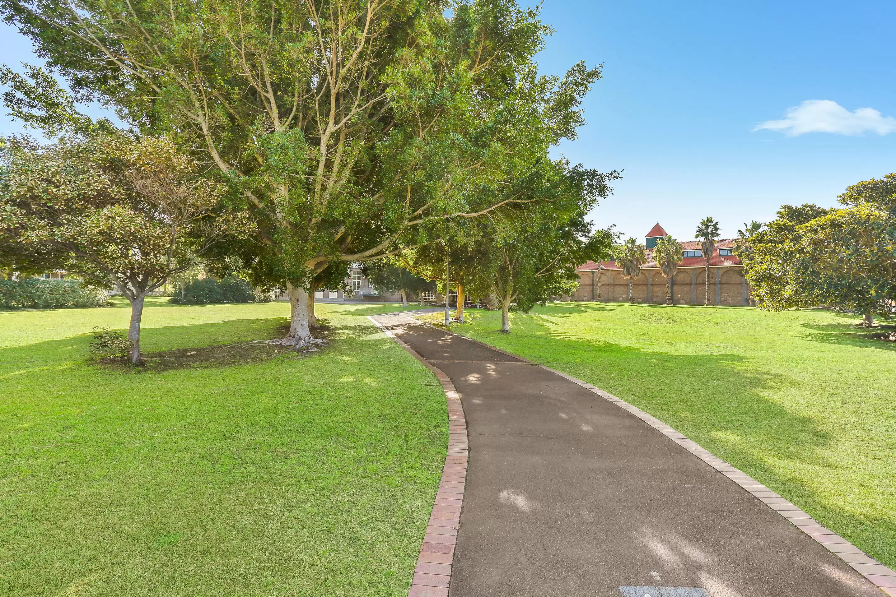 D14,1 Buchanan Street, Balmain Leased by Coopers Agency - image 13